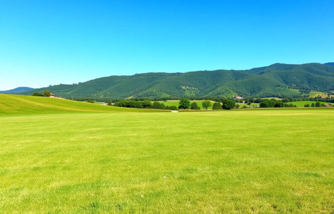 Terreni